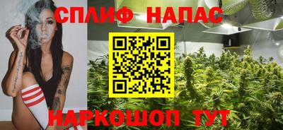 гашик Славянск-на-Кубани