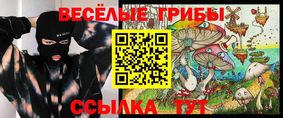 Петропавловск-Камчатский  Псилоцибиновые грибы Magic Shrooms  Псилоцибиновые грибы прущие грибы  Вход с VPN 